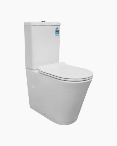 Ambulant Back To Wall Toilet Suite