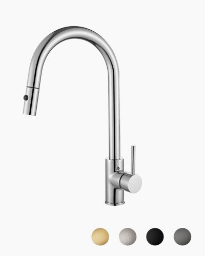 Rosa Kitchen Extended Mixer Tap
