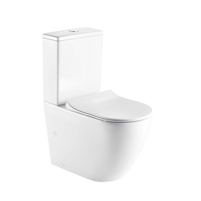 Ways A Rimless Toilet Can Improve Your Life | Fontaine