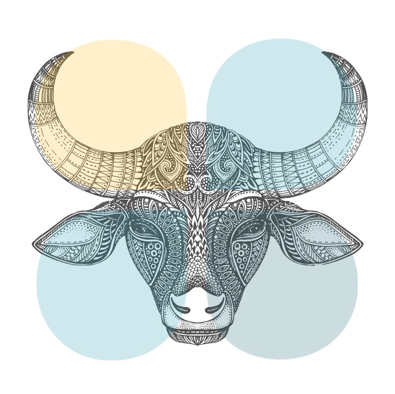 Star Sign by Design - Taurus | Fontaine